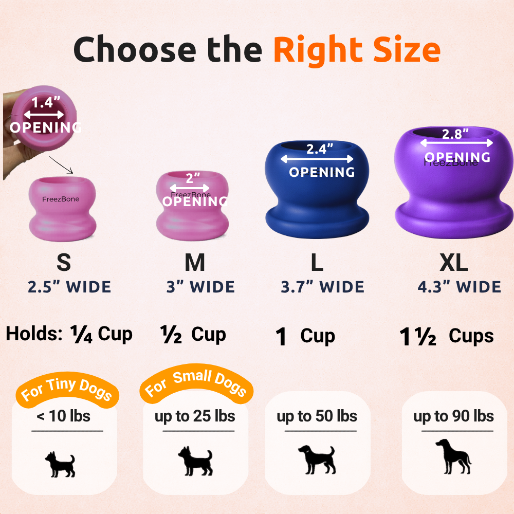 FreezBall Bundle — Best value on the most-loved bones