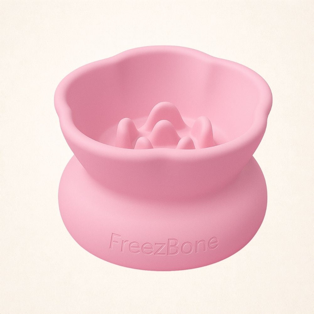 Freezflower Cup - Frozen Treat Cup for Calm, Happy Dogs