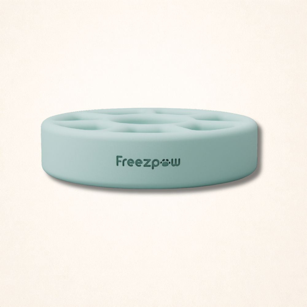 FreezSpin Cat Durable Interactive