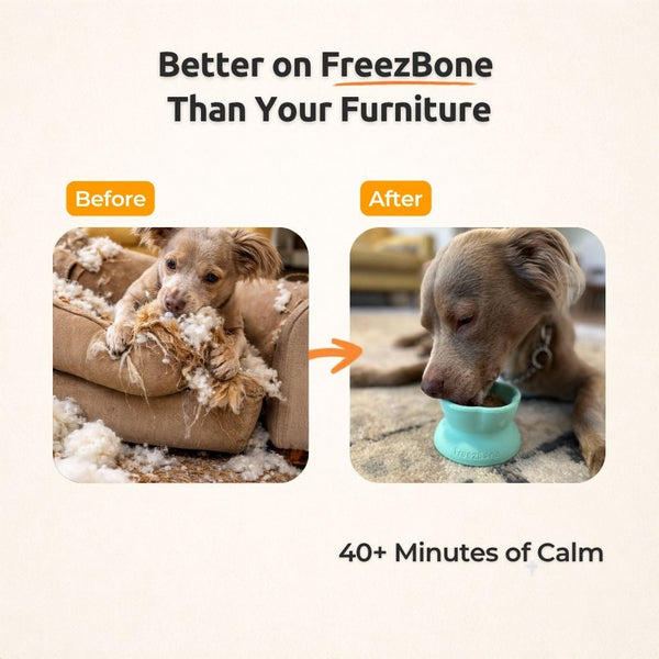 Freezflower Cup - Frozen Treat Cup for Calm, Happy Dogs