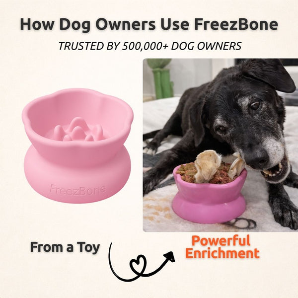 Freezflower Cup - Frozen Treat Cup for Calm, Happy Dogs