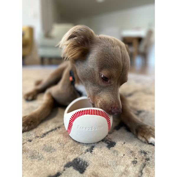 Freezbaseball- Durable Frozen Baseball Chew Toy for Dogs