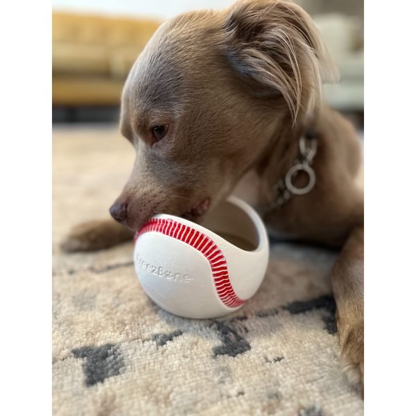 Freezbaseball- Durable Frozen Baseball Chew Toy for Dogs
