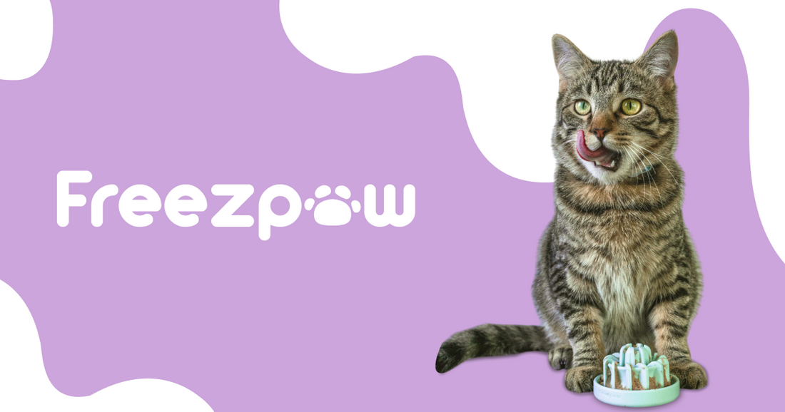 FreezDrip - Cat Slow Feeder Toy