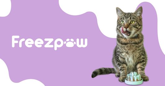 FreezDrip - Cat Slow Feeder Toy
