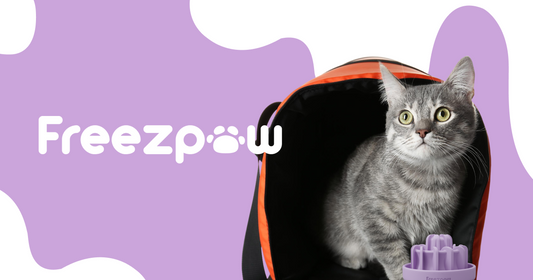 FreezDrip - Cat Slow Feeder Toy