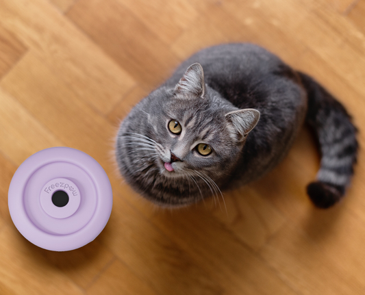 Freezring - Cat Anxiety Relief Toy