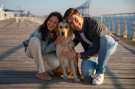 National Dog Month: 8 Ways Of Dog Appreciation