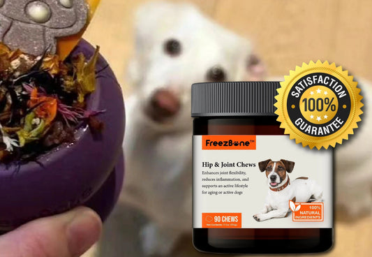 Hip & Joint Chews and Freezball