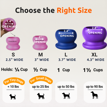 Freezball Refill Bundle - Starter favorite best selling combo