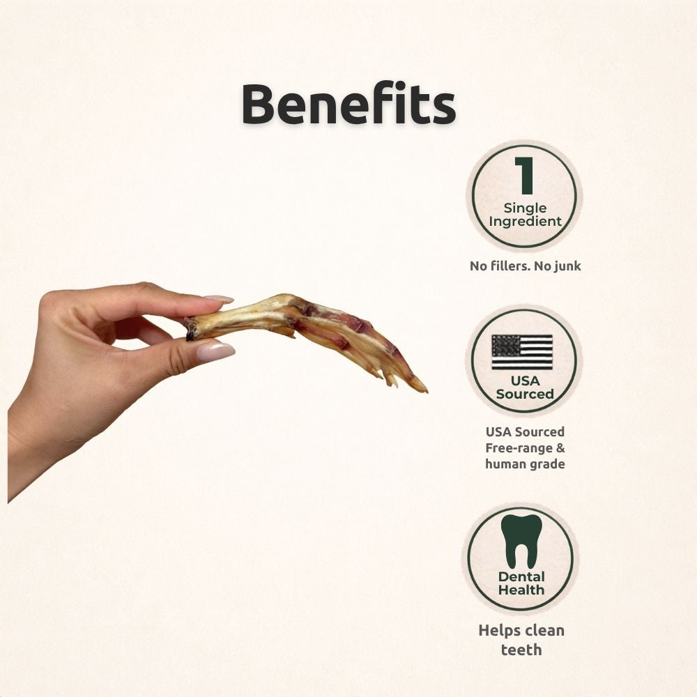 Crunchy Feet Bundle - Whole Dental Treats for Dogs - Human Grade - Single Ingredient