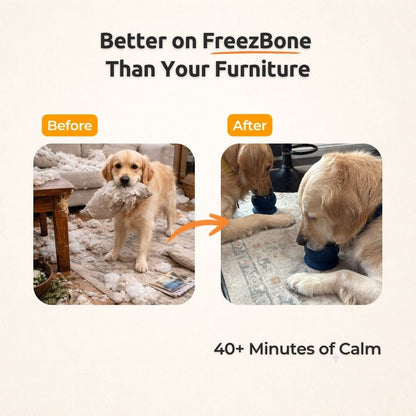 FreezWheel - Durable Interactive Chew