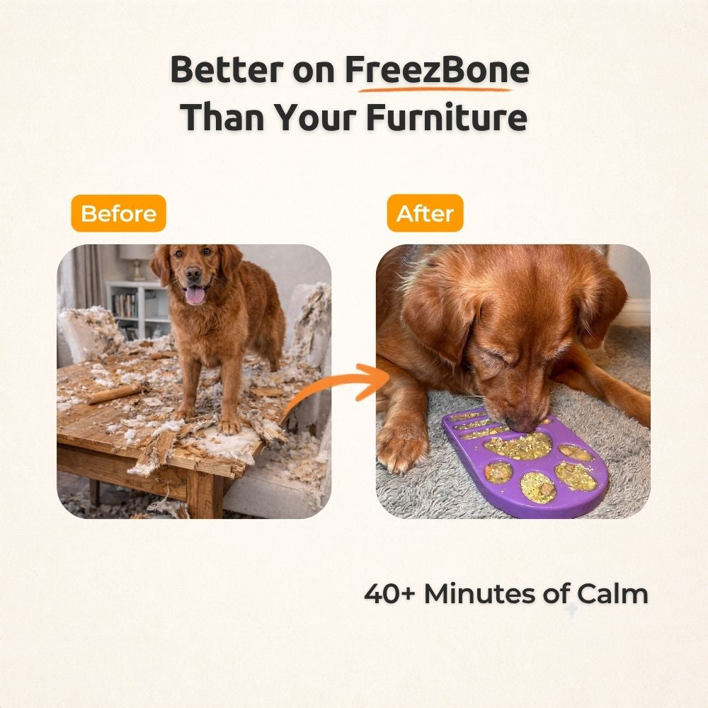 FreezPaw Mat -  Calming Slow Feeder