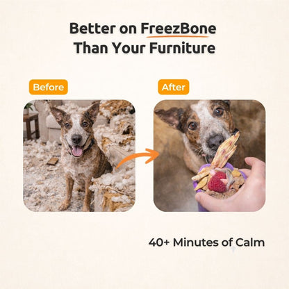 FreezRose – Frozen Dog Enrichment Toy