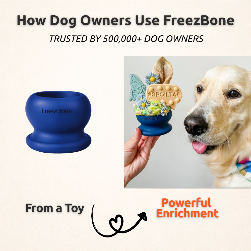 Freezball Refill Bundle - Starter favorite best selling combo