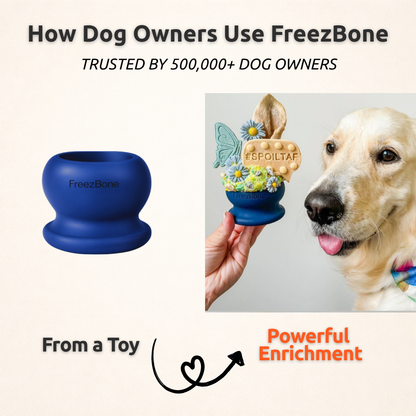 Freezball Refill Bundle - Starter favorite best selling combo