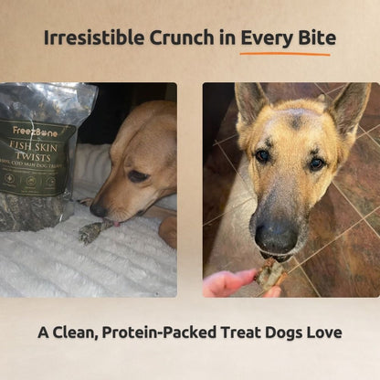 Freezbone Ultimate Dog Treat Bundle – 5 All-Natural Fish & Chicken Treats (Value Size)